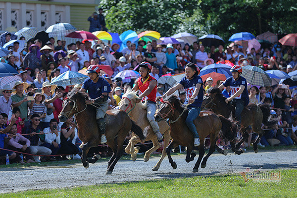 Lễ hội đua ngựa Bắc Hà từ ngày đầu tổ chức đến Di sản Văn hóa