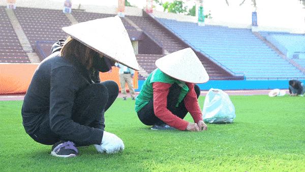 Mải miết nhặt cỏ dại trên sân Việt Trì trước trận bóng đá nam đầu tiên tại SEA Games 31