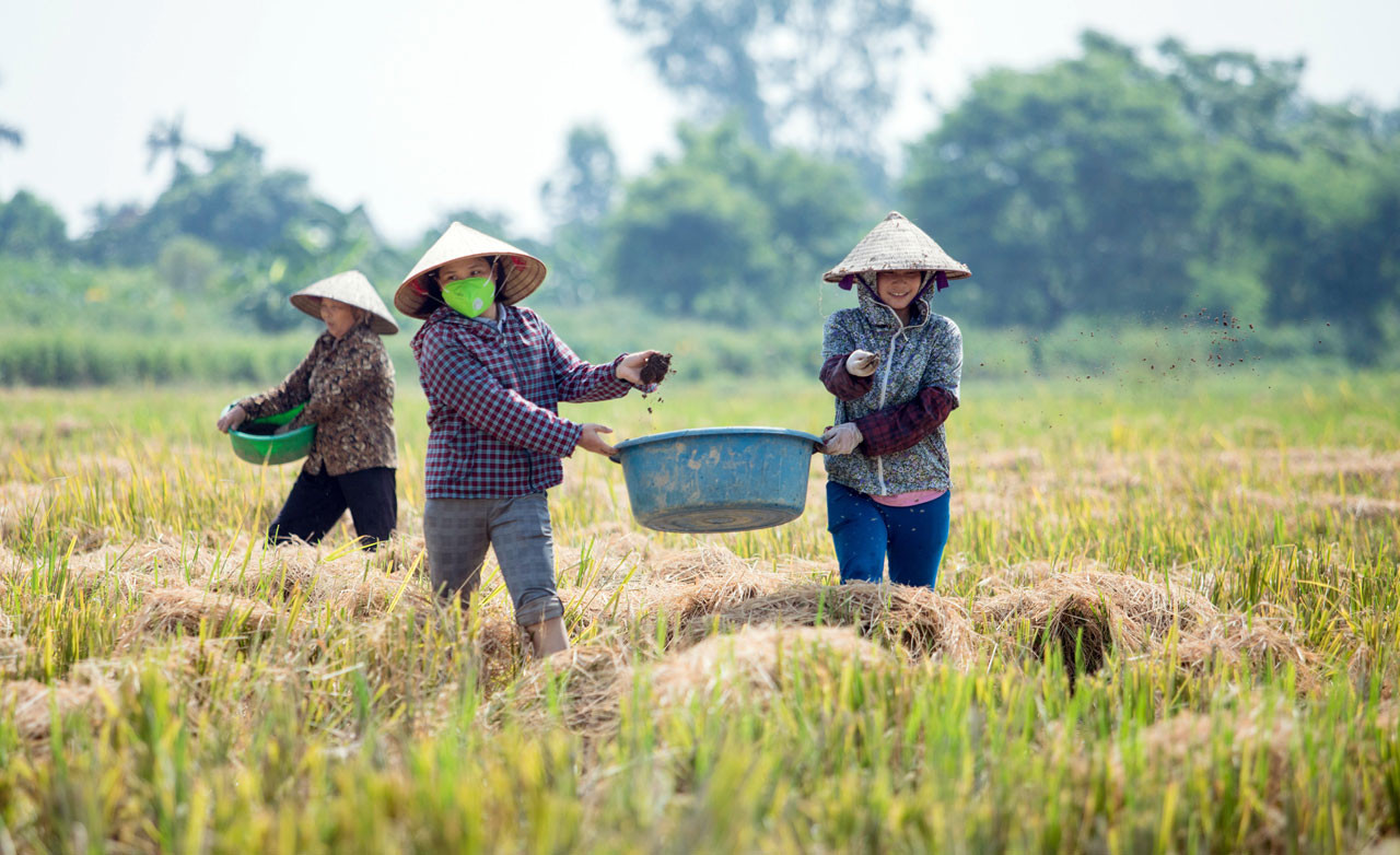 Making organic products for export worth a try