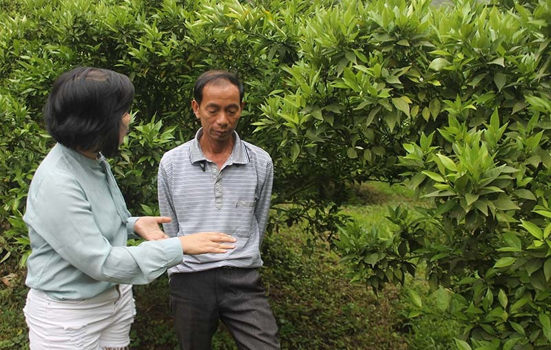 On Pa Cop village, the farmer told a story about earning a profit of 5 billion from his garden
