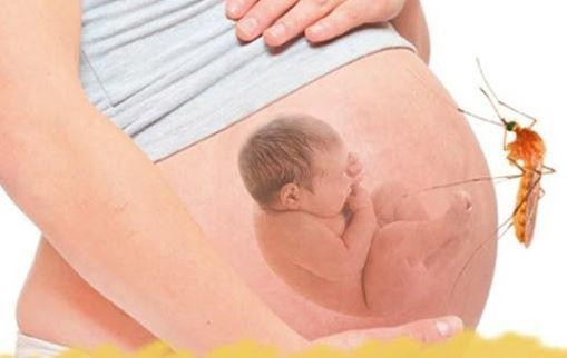 Bị sốt xuất huyết khi mang thai có ảnh hưởng đến thai nhi không?