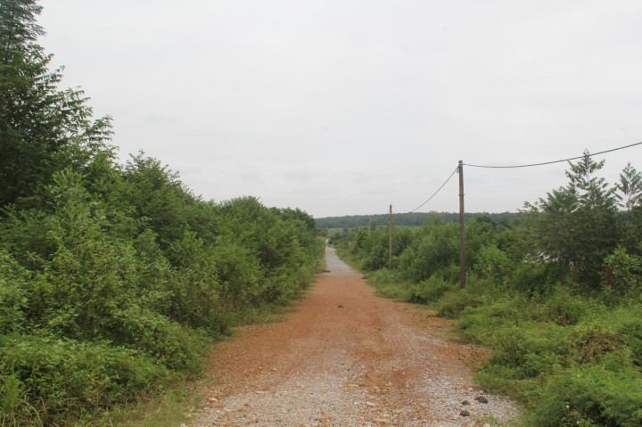 Mua đám đất hoang giữa cơn sốt, người đổi đời, kẻ trắng tay - 1