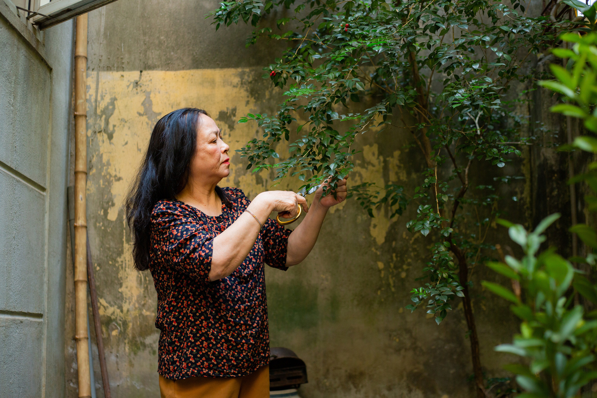 Mỹ nhân màn ảnh một thời Thanh Quý và cuộc sống bình lặng tuổi xế chiều - Ảnh 15.