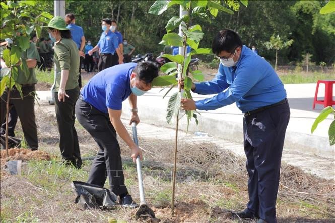 Năm 2021, toàn tỉnh Bình Dương sẽ trồng 103.700 cây xanh phân tán