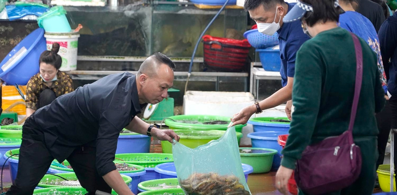 At the end of the holiday, Ha Long merchants are tired of packing seafood for tourists