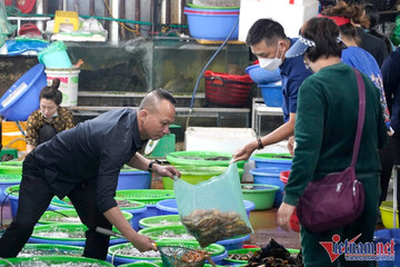 Khách Hà Nội đổ ra chợ gom hải sản, dân Hạ Long đóng hàng mỏi tay