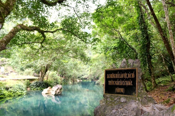 Nguyễn Ái Quốc về nước và chọn Cao Bằng là một sự tính toán kỹ lưỡng
