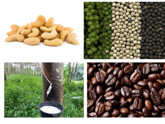 Nhiều sản phẩm nông lâm thủy sản có giá trị xuất khẩu tăng