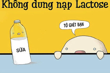 Những điều cha mẹ cần biết khi trẻ dị ứng đạm sữa bò, không dung nạp lactose