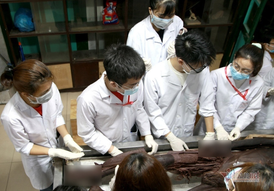A practice session on anatomy on human corpses of students of Hanoi Medical University