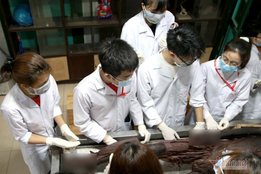 Những người thầy 'chưa từng lên bục giảng' ở Trường ĐH Y Hà Nội