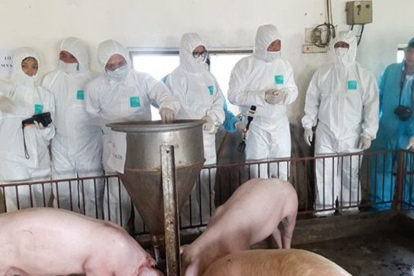 Những thách thức cần vượt qua để triển khai kinh tế tuần hoàn tại Việt Nam