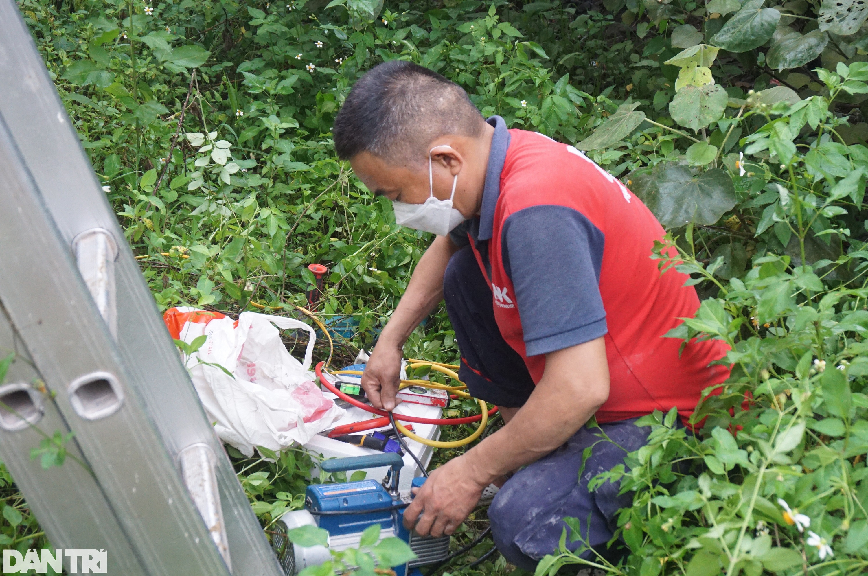 Nóng nực đầu hè, người làm một mùa ăn cả năm bỏ túi cả triệu bạc mỗi ngày - 4