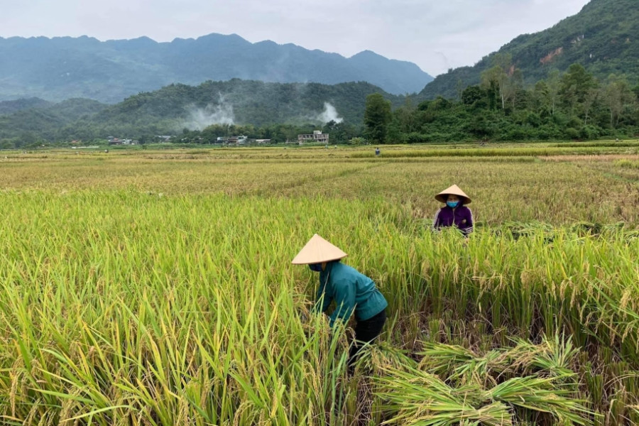 Phát huy sức mạnh tổng hợp của khối đại đoàn kết trong phát triển KT-XH