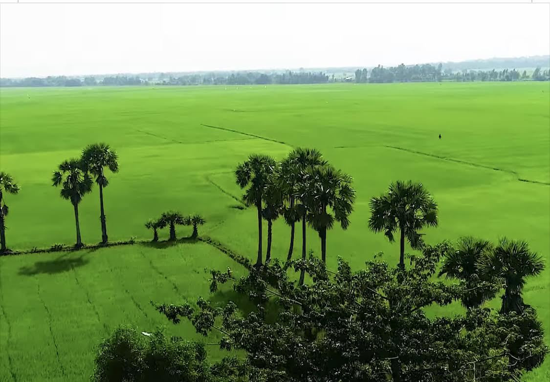 Phát triển hệ sinh thái nông nghiệp tích hợp đa giá trị