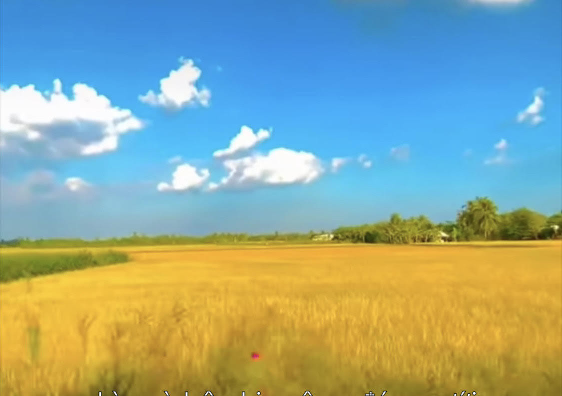 Phát triển vùng ĐBSCL trở thành trung tâm kinh tế nông nghiệp bền vững vào năm 2030