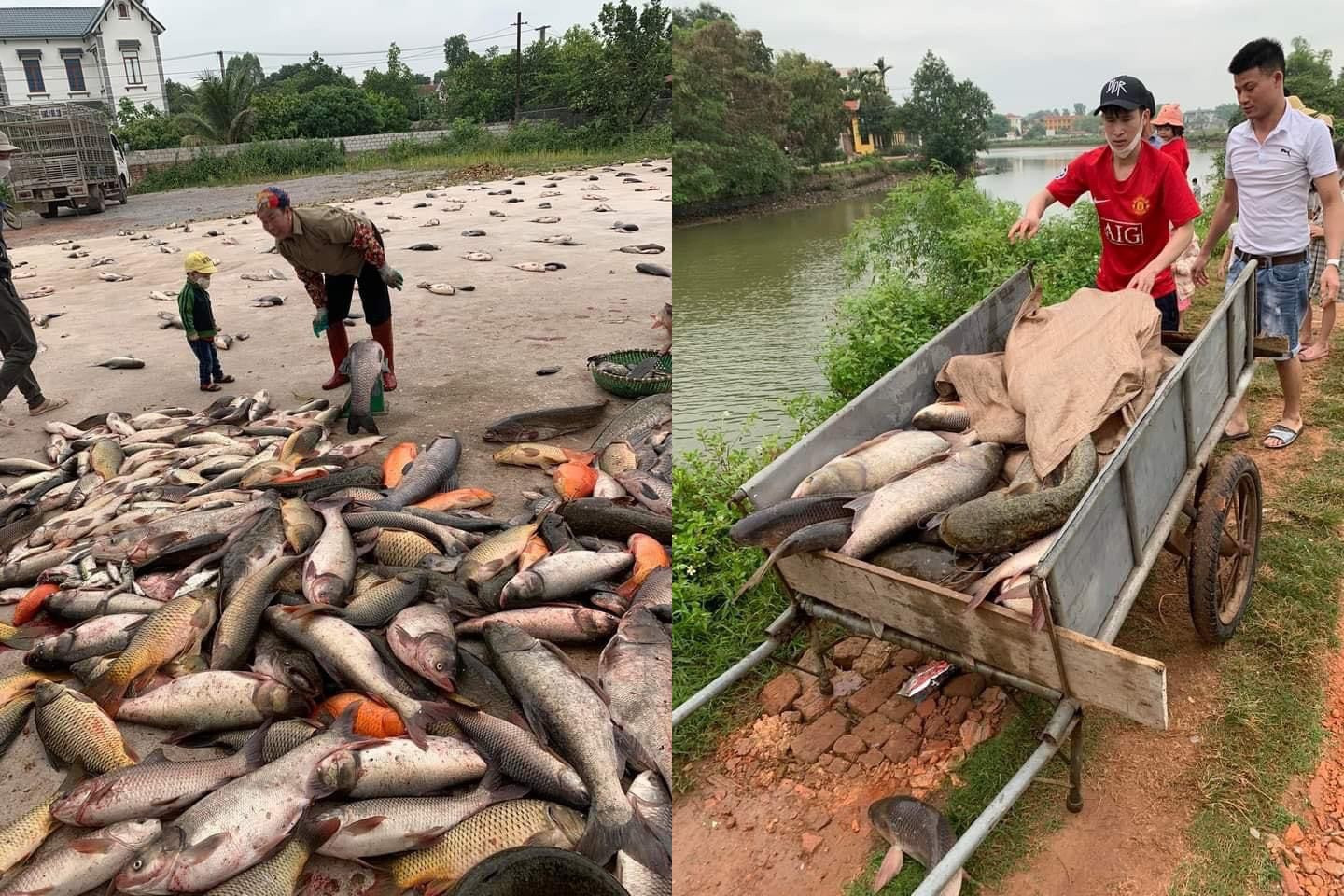 Phiên chợ lạ toàn cá, dân xếp hàng chia phần chẳng cần cân ở Bắc Giang - 3