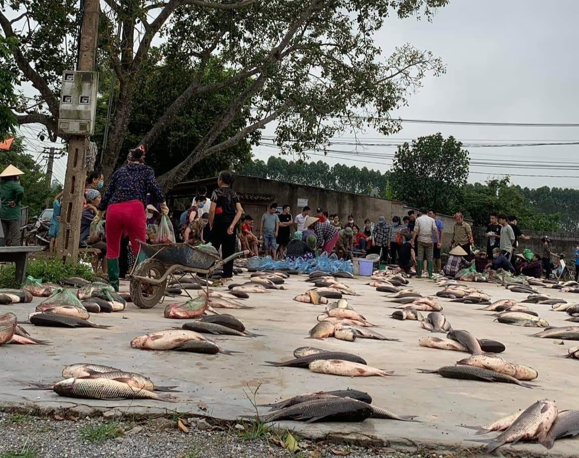 Phiên chợ lạ toàn cá, dân xếp hàng chia phần chẳng cần cân ở Bắc Giang - 2