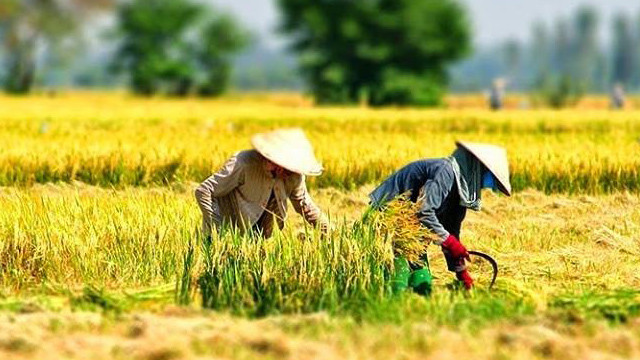 “Tăng cường khả năng chống chịu của nông nghiệp quy mô nhỏ với an ninh nguồn nước do biến đổi khí hậu khu vực Tây Nguyên và Nam Trung Bộ