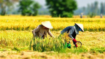 “Tăng cường khả năng chống chịu của nông nghiệp quy mô nhỏ với an ninh nguồn nước do biến đổi khí hậu khu vực Tây Nguyên và Nam Trung Bộ