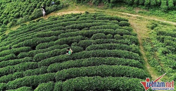 Thái Nguyên nỗ lực kích cầu, phục hồi hoạt động du lịch
