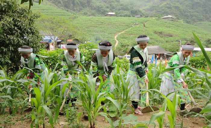 Thái Nguyên: Quy định vùng tạo nguồn cán bộ cho các dân tộc thuộc diện tuyển sinh vào các trường nội trú