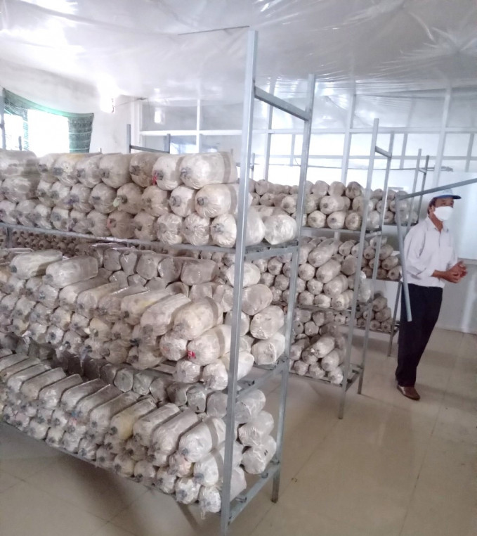 Mô hình sản xuất nấm công nghệ cao tại xã Hòa Xuân Nam (huyện Đông Hòa, Phú Yên) mà nông dân xã Phước Hiệp được đưa đi tham quan học tập. Ảnh: Nông dân cung cấp.
