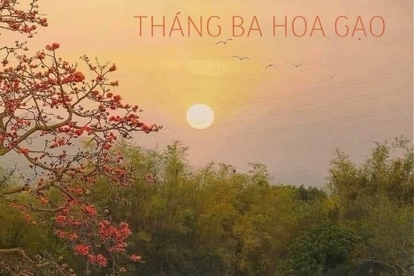 Tháng ba hoa gạo