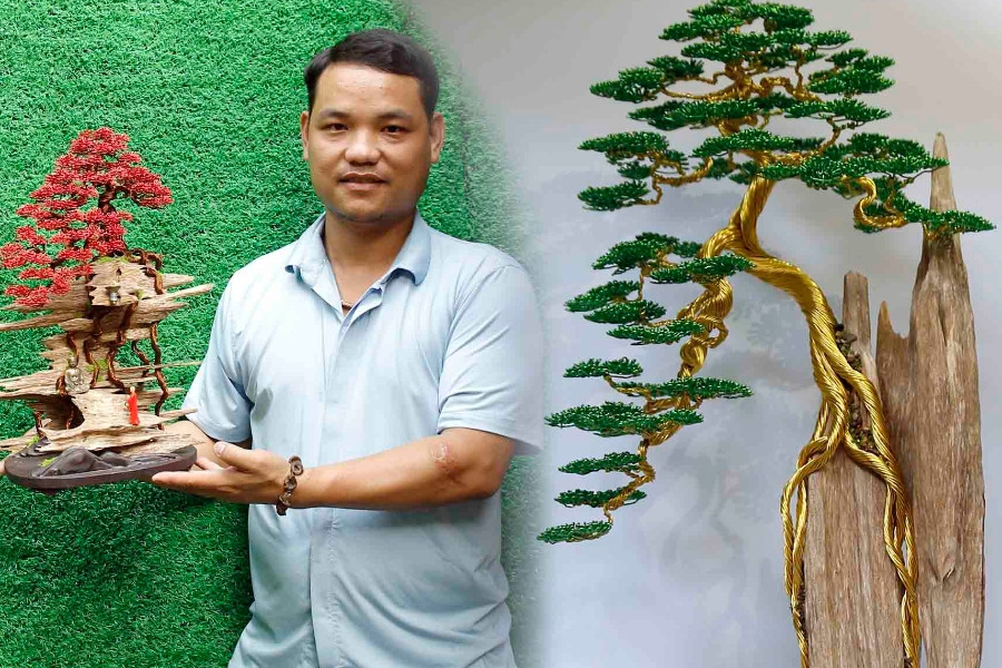 Thanh niên bỏ việc nghìn đô về làm bonsai trầm độc lạ