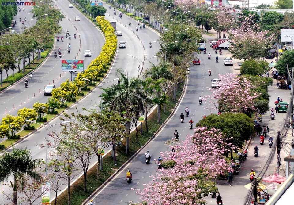 Thành phố thông minh giúp tối ưu hóa nguồn lực, phát triển bền vững, bảo vệ môi trường