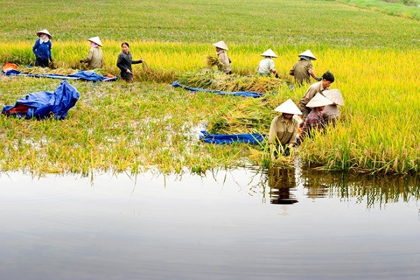 Giảm nghèo toàn diện và bền vững luôn là ưu tiên hàng đầu