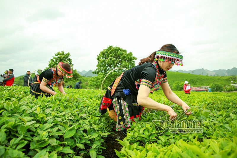 Thích ứng an toàn, linh hoạt: Vận tải và du lịch dần trở lại “bình thường mới”