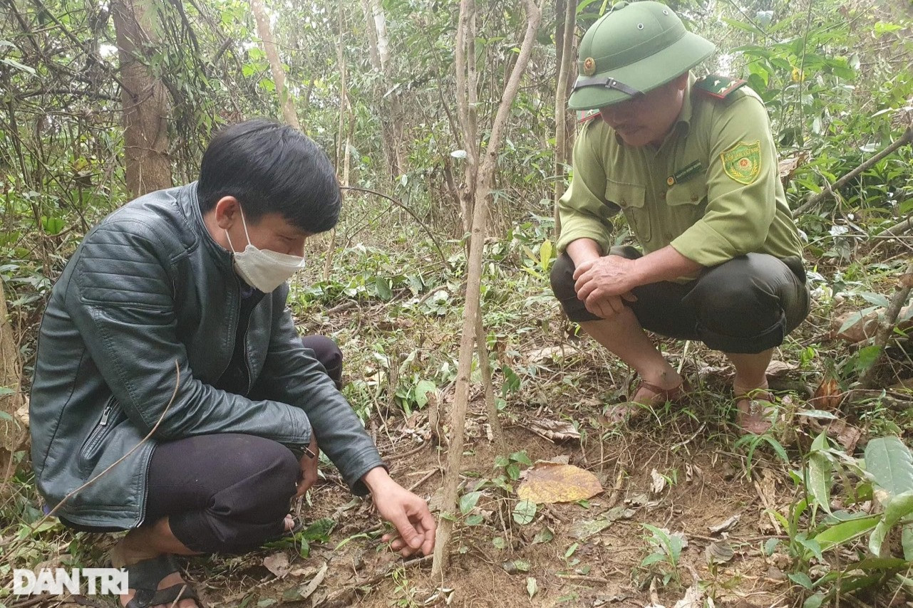 Thoát nghèo bằng thần dược cho quý ông - 2