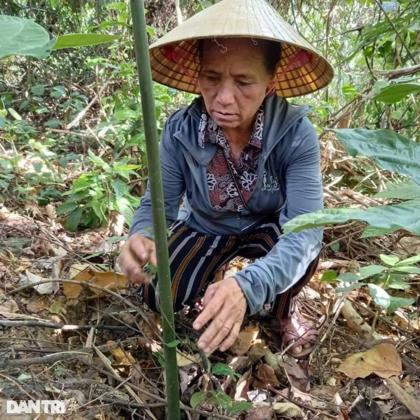 Thoát nghèo bằng thần dược cho quý ông - 4