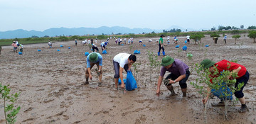 Thực tiễn ở Việt Nam cho thấy phụ nữ có thể đóng vai trò sống còn trong các hoạt động thích ứng với biến đổi khí hậu