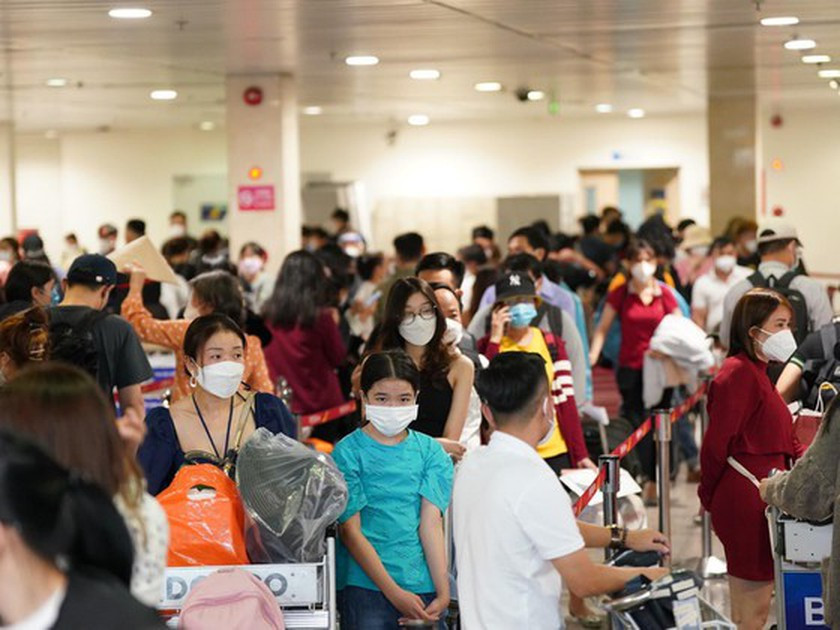 Too strict medical declaration creating congestion in Tan Son Nhat Intl. Airport ảnh 2