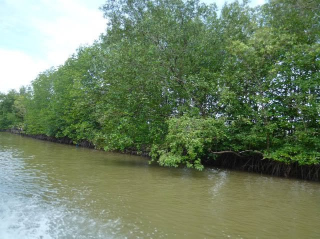 TP. Thái Bình hưởng ứng “Tháng hành động vì môi trường”