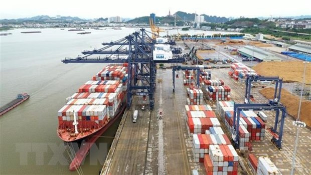 1.5 billion USD needed for building container vessel fleet hinh anh 1