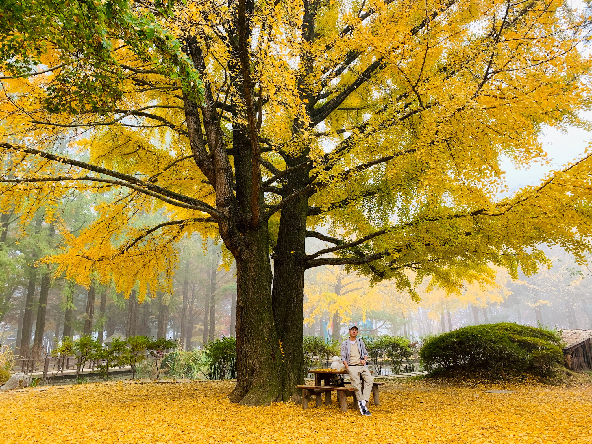 Van hoa 996 nhau voi sep qua loi ke cua chang trai Viet o Han anh 13