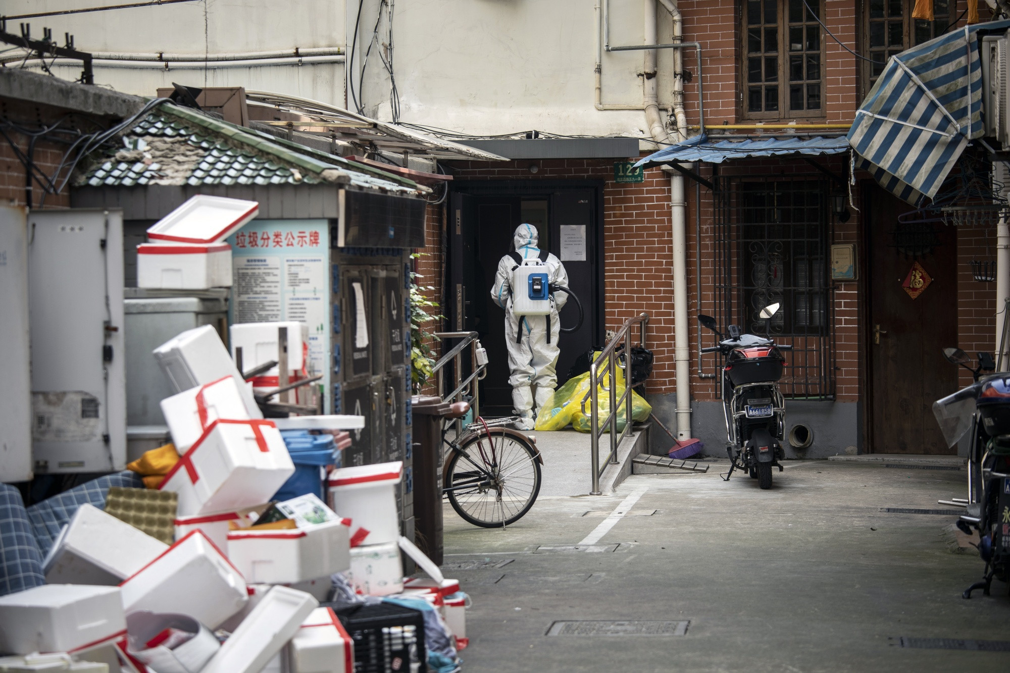 Gia dau bien dong anh 2