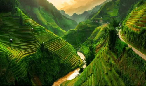 Việt Nam từ 'đất nước trầm lặng' thành điểm đến du lịch hàng đầu thế giới