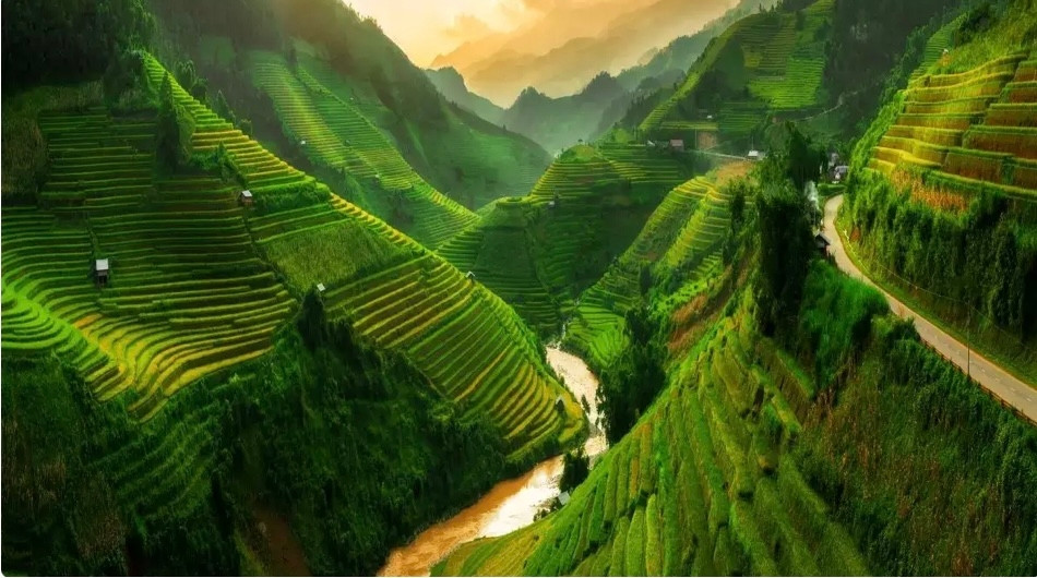 How did Vietnam become the world’s top tourist destination?
