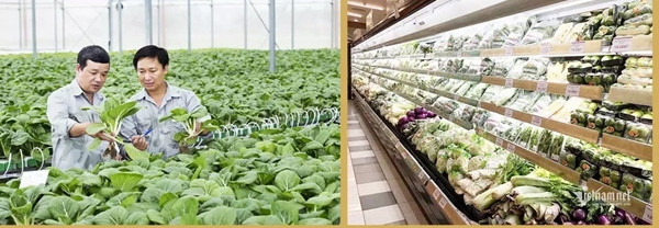 VIETNAM BUSINESS NEWS APRIL 12