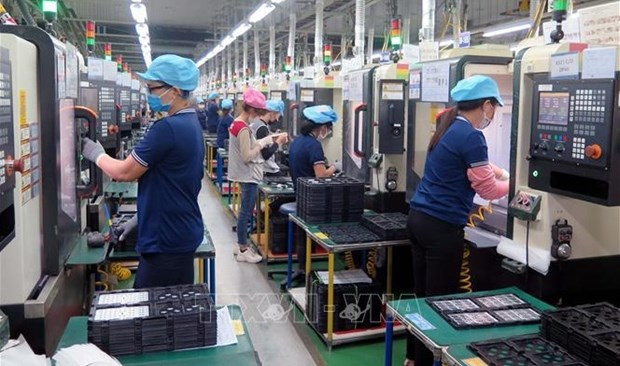 Vietnam needs national action plan to promote responsible business practices: workshop hinh anh 1