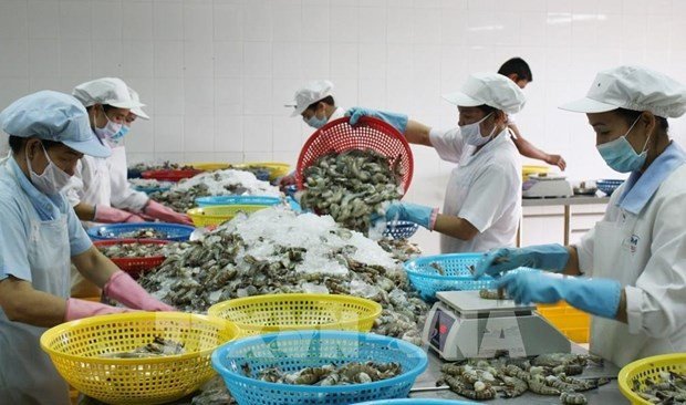 Vietnam enjoys high trade surplus in agricultural, forestry, aquatic exports hinh anh 1