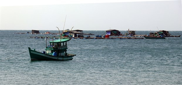Kien Giang develops marine aquaculture hinh anh 1
