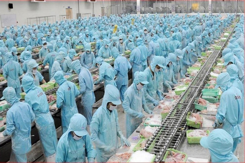 Vietnam's seafood industry and the great ambition