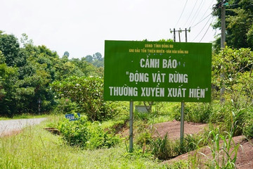 Vườn di sản ASEAN: Nỗ lực của Việt Nam và tỉnh Đồng Nai trong bảo tồn đa dạng sinh học