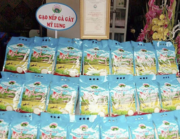 Xây dựng thương hiệu cho gạo nếp Gà gáy Mỹ Lung tỉnh Phú Thọ