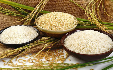 Xuất khẩu gạo Việt đạt mức giá cao